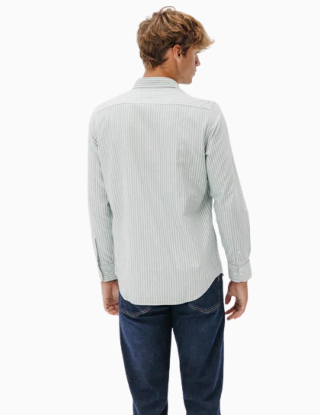 CAMISA EL PULPO OXFORD RAYA ANCHA VERDE
